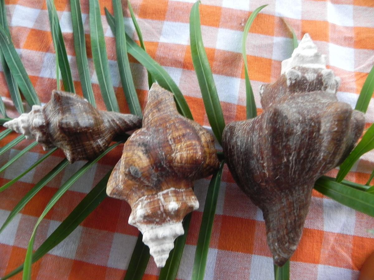 Chez Clenya Panzió La Ferme Kültér fotó